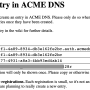 acmedns-register.png